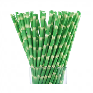 Low price for China Eco Friendly Bamboo Patterned Degradable Paper Straw