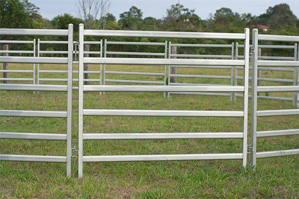 horse fence panel Featured Image
