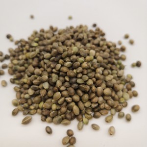 Hemp seeds wholesale