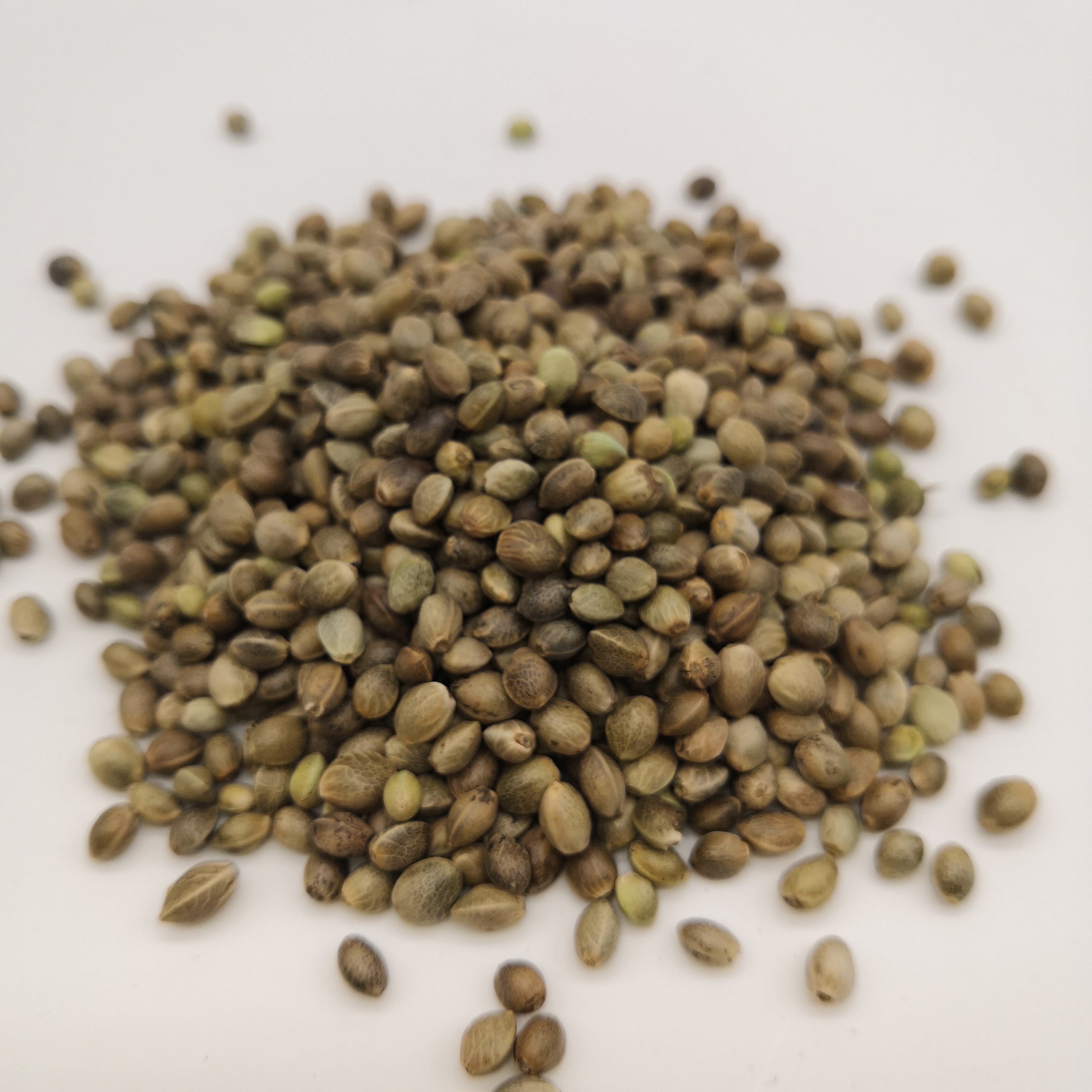 Professional Factory for China Hot Selling GMP Factory Supply Hulled Hemp Seed Featured Image