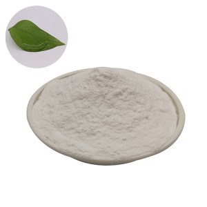 Wholesale Price China China Factory Price High Quality Food Grade Sodium Alginate