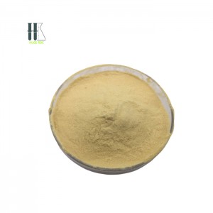 Factory Supply China Animal Feed Collagen Peptone