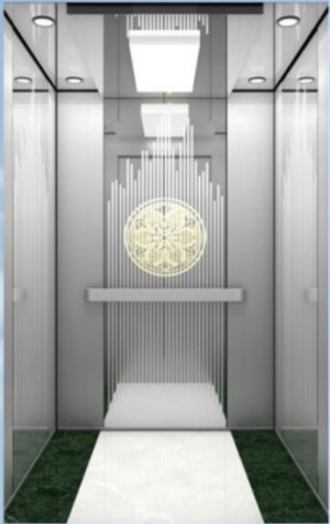 Fuji elevator low noise 450kg passenger elevator for sale from China