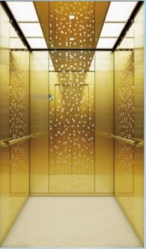 Hot Sale fuji elevator elevator lift residential elevators homes