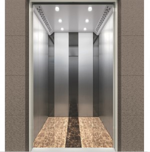 New design elevator with great price low noise 630kg passenger elevator Fuji Elevator in China