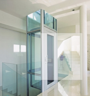 18 Years Factory Villa Elevator - Residential home office building hotel passenger elevator with machine room  – Fuji