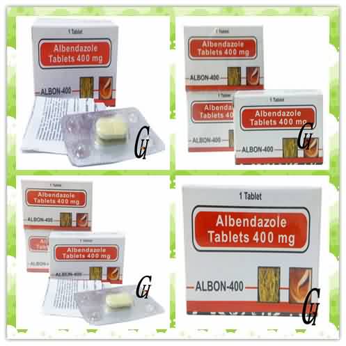 New Delivery for Antiseptic Effect - Antiparasitic Albendazole Tablets 400mg – G-House