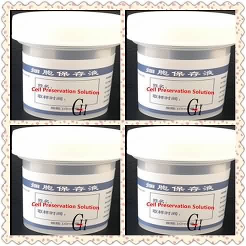 Personlized Products  Vitamin B Complex Powder - Gynecology Cell Preservation Solution – G-House