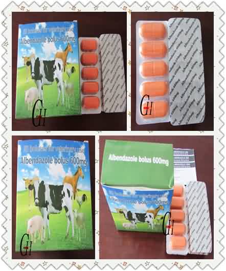 New Fashion Design for Antibiotics Salinomycin - 600mg Antiparasitic Albendazole Bolus – G-House