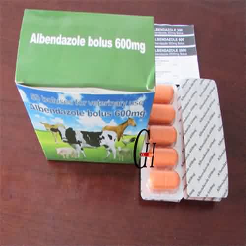 Albendazole Bolus 600mg