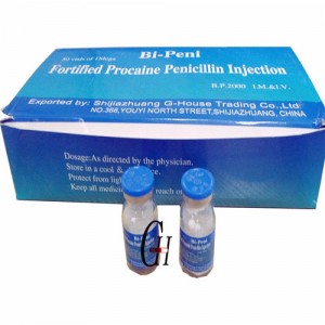 Suntikan Fortified procaine Penicillin