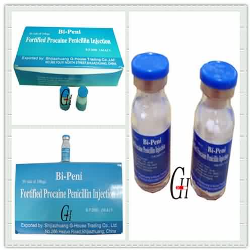 High definition Low Price Chlorphenamine Maleate - Injection Fortified Procaine Penicillin – G-House