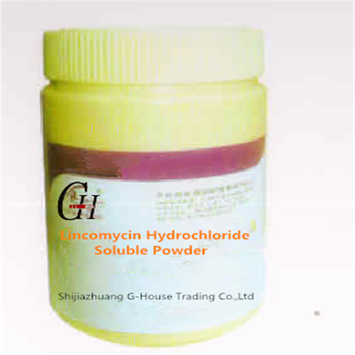 Lincomycin hidroxlorid Həll Powder 