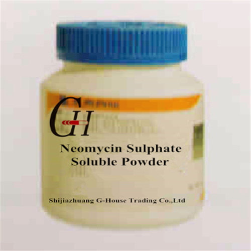 Neomisin sulfat Həll Powder