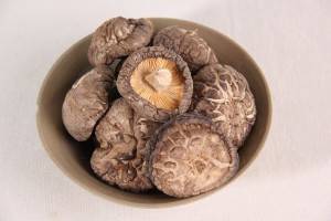 Shiitake mushroom Powder