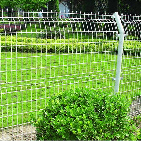 Double Wire Mesh Featured Image