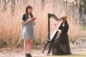 Canon (GECKO Kalimba / Harp-Version) - Spielen Sie bis April Yang