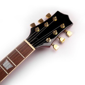 Gecko Custom Stringed Instruments Vintage Guitarra Electrica Basswood Body Hollow Body Jazz Guitar Maple Neck Electric Guitar
