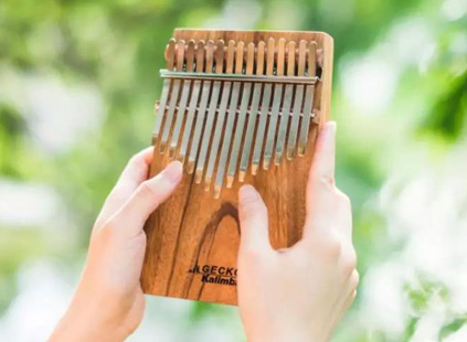 At first glance, the gecko thumb piano | GECKO