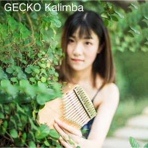 Africa Kalimba Başparmak Piyano 17 key-K17CAS |  GECKO