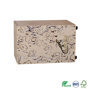 China Factory of Musical Instruments Percussion Cajon with Standard size