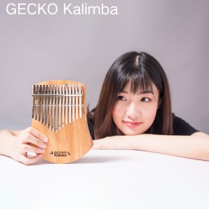 Africa Kalimba Thumb Piano 17 key-K17CAS |  Gecko