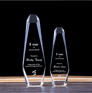 Custom Award Crystal Glass Trophy With Engraved Logo  TR0100