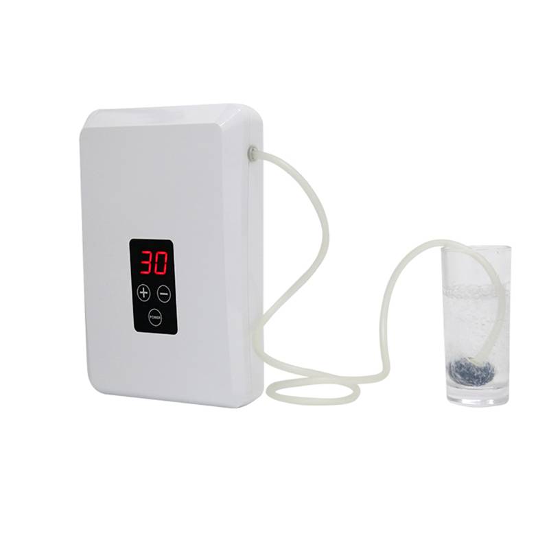 Small Ozone Generator - GL-3210   Air Sterilizer Vegetable Fruit Fresher  Ozone Generator – Guanglei detail pictures