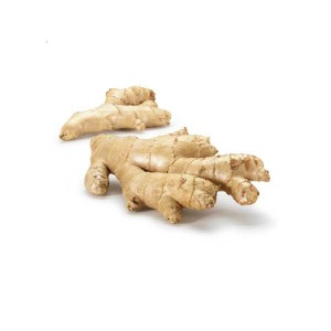 China Gold Supplier for Lutein - Ginger Extract – Golden Everbest