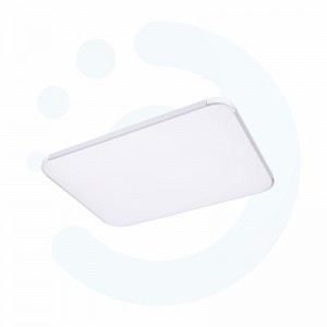 Smart Ceiling lamp LCP