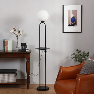 Black Metal Floor Lamp,Glass Globe Lampshade | Goodly Light-GL-FLM112