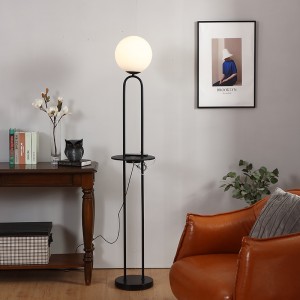 Black Metal Floor Lamp,Glass Globe Lampshade | Goodly Light-GL-FLM112