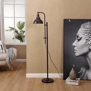 Black Gold Floor Lamp,Adjustable Head | Goodly Light-GL-FLM120