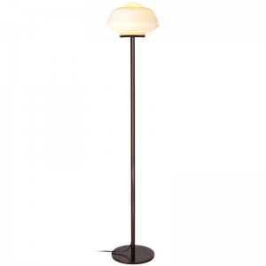 OEM/ODM Manufacturer Usa Ul New Popular Modern Iron Glass Hotel Lamp Lighting Hotel Room Light Table Lamp Floor Lamp For Guest Room Lobby Decoration