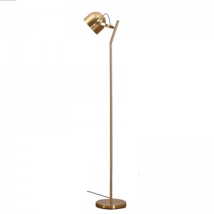 Goeie reputasie van gebruikers vir moderne staande lamp vir swart vloerlampe