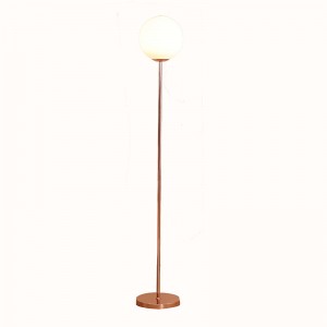 OEM Customized Hard Globe Light Rechargeable Remote Round Ball Floor Lamp