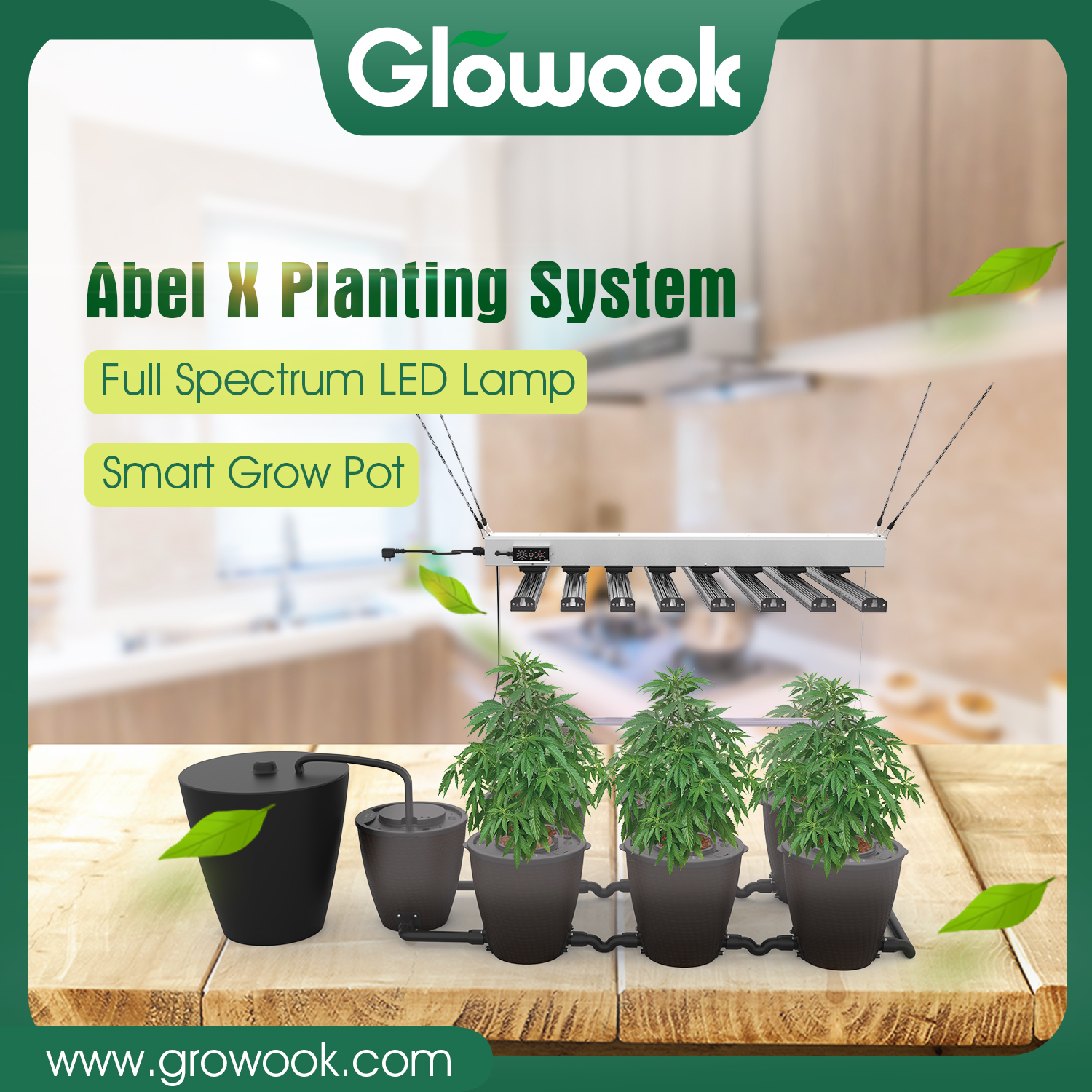 Abel X Planting System Featured Image