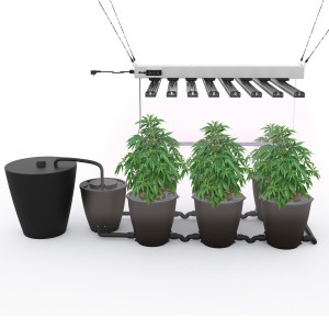 Professional ChinaHydroponics 1000w Led Grow Light Kit -
 Abel X Planting System – Radiant