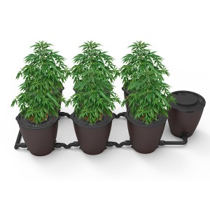 Renewable Design for Grow Tent Complete Kit With Led Light -
 Abel X Planting System – Radiant