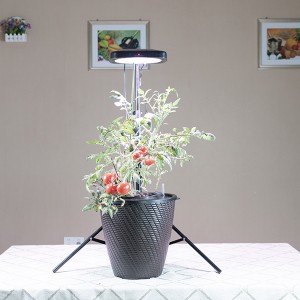 High Quality Indoor Plant Kit -
 Abel iGrowPot – Radiant