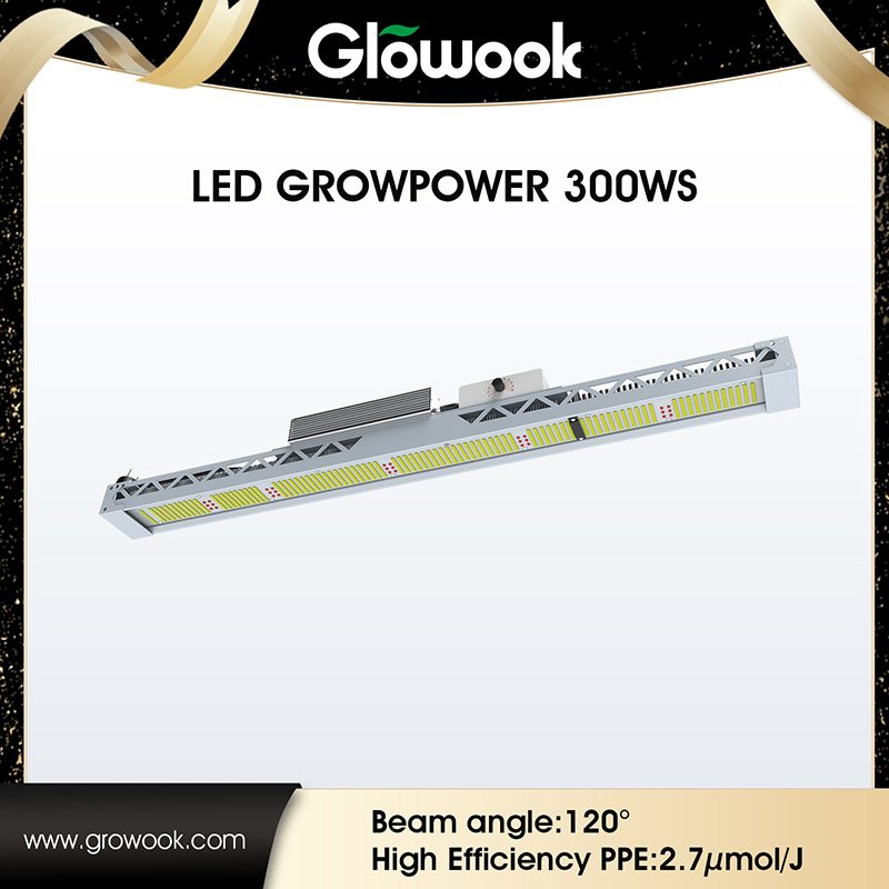 Discount Price New Led Garden Solar Lamp -
 LED Growpower 300WS – Radiant