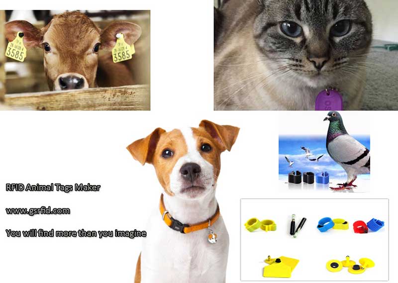 Where to buy the RFID animal ear tags and function of RFID animal ear tags