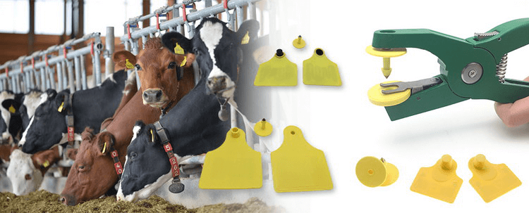 Application of RFID Technology in Animal Management