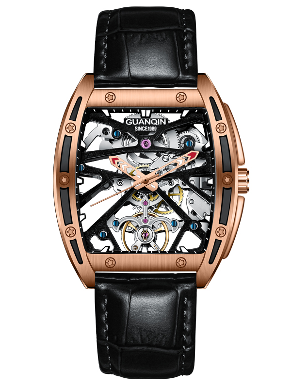 Guanqin GJ16147 Mechanical Watch Featured Image