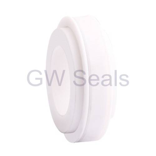 2017 New Style Carbide Pump Mechanical Seal - Stationary Seat Series-GW25 – GuoWei