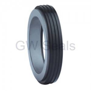 Renewable Design for Silicon Carbide Mechanical Seal - Stationary Seat Series-GWCT24 – GuoWei