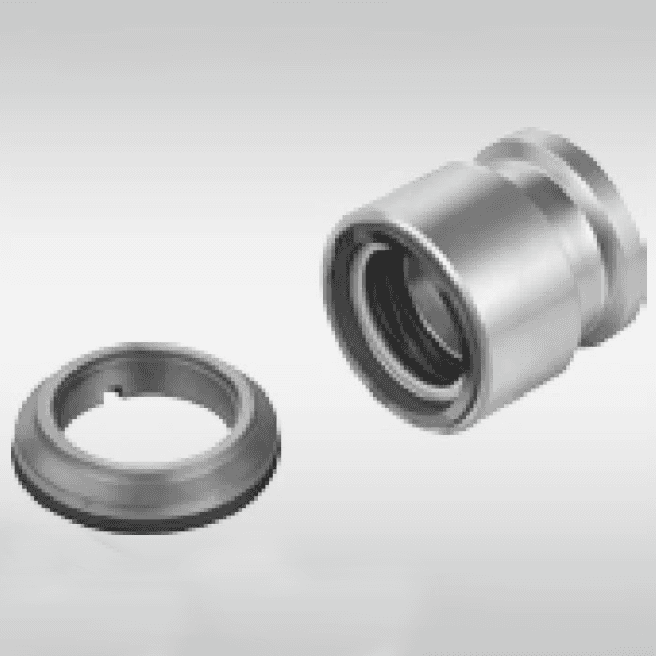 OEM/ODM Manufacturer Metal Seal - OEM Mechanical Seals-GWBS2 – GuoWei