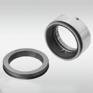 Ioma-earrach Mechanical Seals-GW591