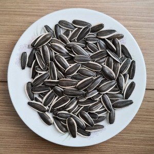 2017 High quality Organic Gws Pumpkin Kernels Seeds - Sunflower Seeds 5009 – GXY FOOD
