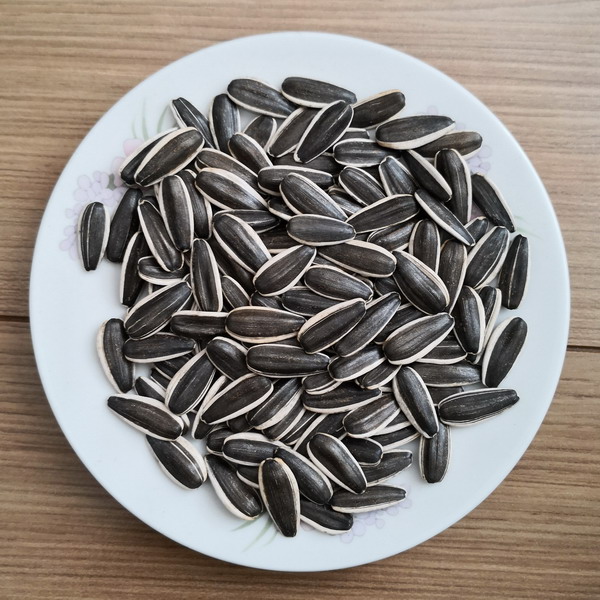 Factory Free sample Snow White Pumpkin Seeds For Sale - Sunflower Seeds 5009 – GXY FOOD